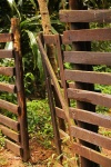 Rustic Fence With Open Gate