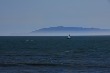 Sailboat In The Sea