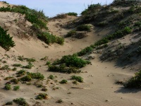 Sand Berm At Monterey