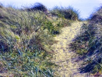 Sandy Path To Beach