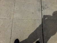 Shadows In Los Angeles