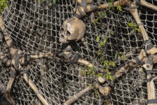 Skull In Fishing Net