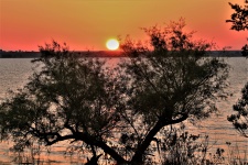 Sunrise At Waurika Lake