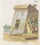 The Beautiful Little Greenhouse