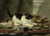 The Cat At Play, Henriëtte Ronner,