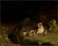 Tiger And Cubs,ca. 1884