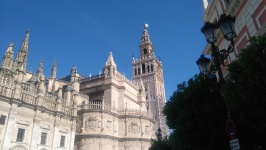 Tower Of The Giralda And Cathedral