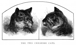 Two Cheshire Cats Ca 1880