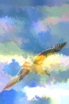 Watercolor Seagull Painted Vertical