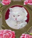 White Cat With Pink Roses