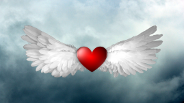 Wings And Heart