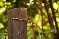 Wooden Post With Barbed Wire Twist