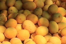 Yellow Melons