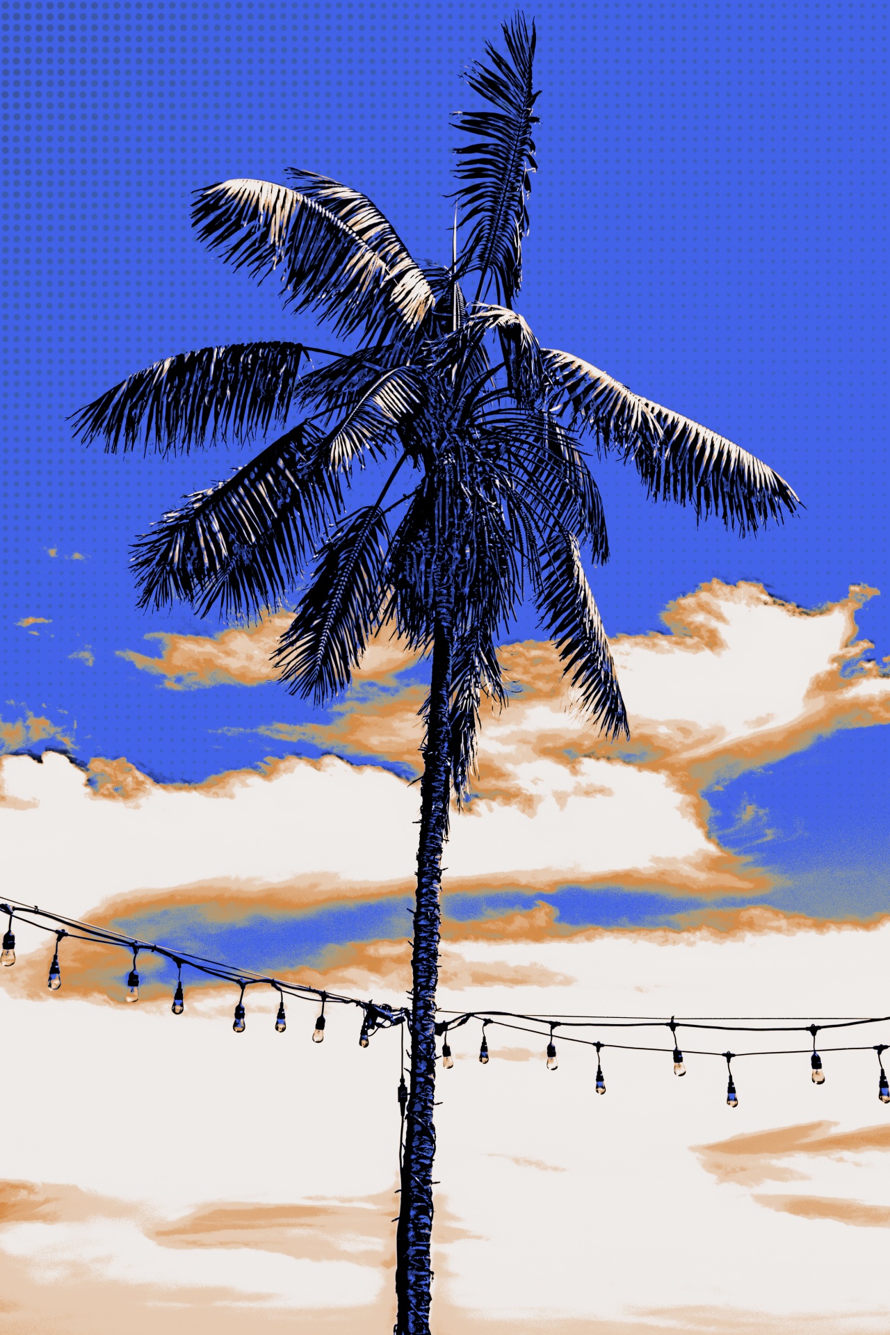 Artistic Palm Tree