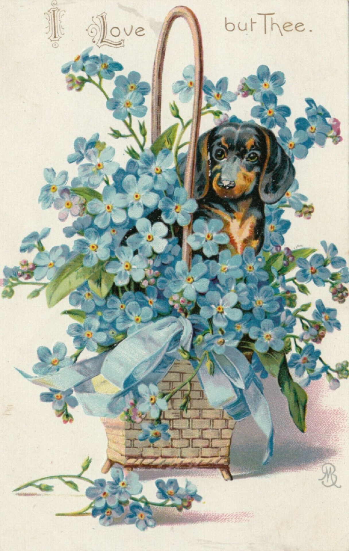 Basket Forget me nots Flower & Dachshund dog I Love But Thee ca 1908 Artist UnknownPublic Domain
