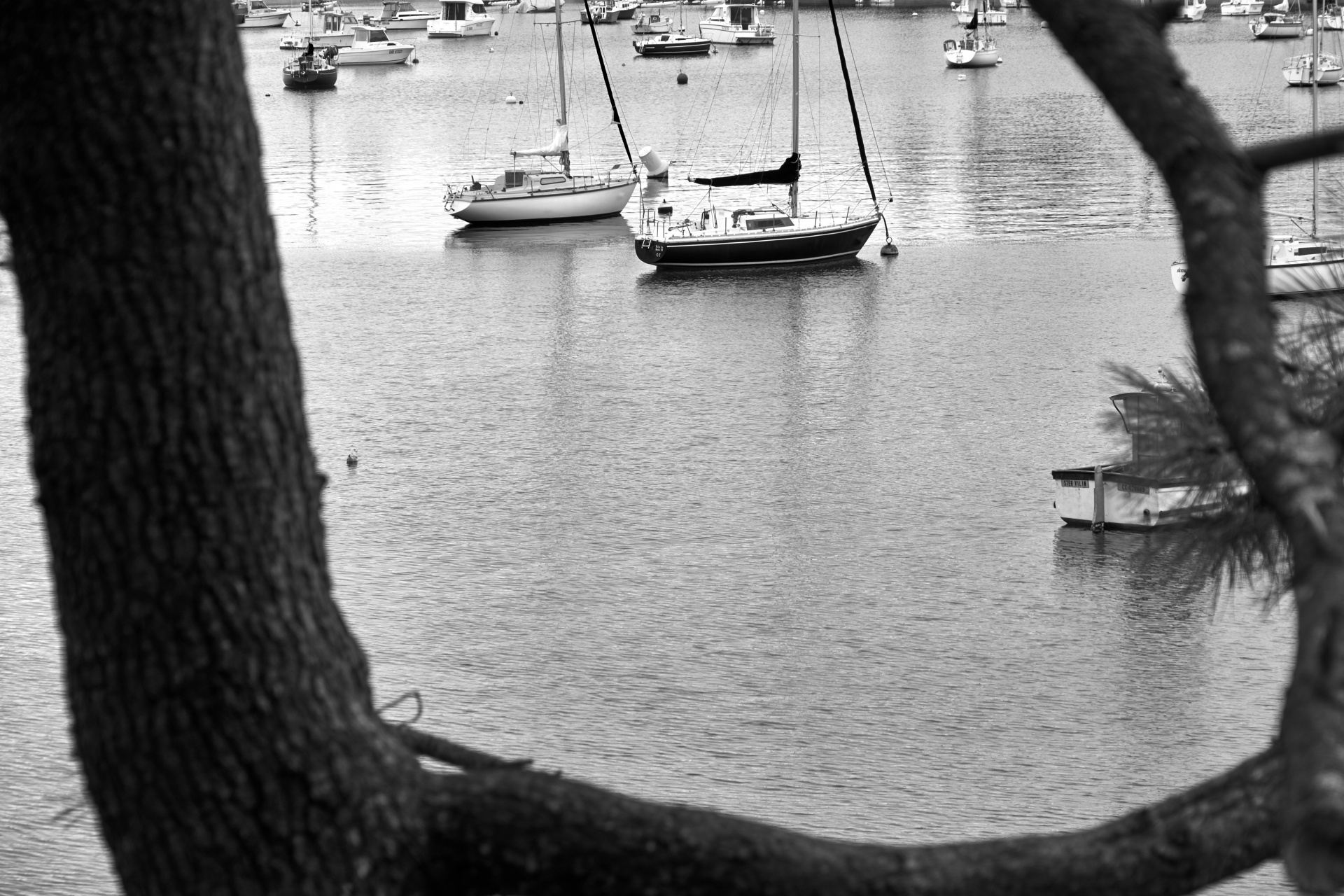 Boats Anchored At The Port