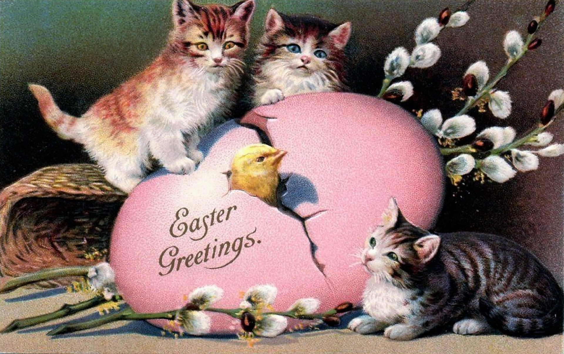 Easter Cats With Chick