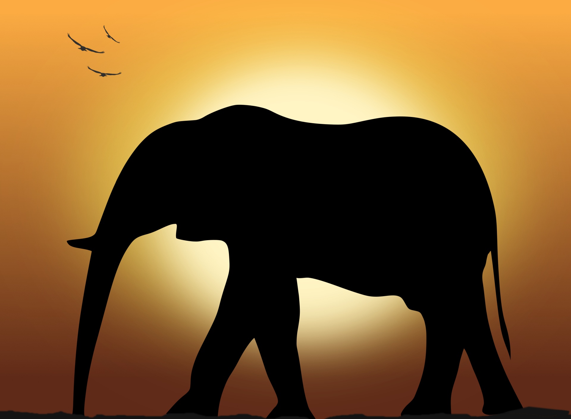 Elephant At Sunset