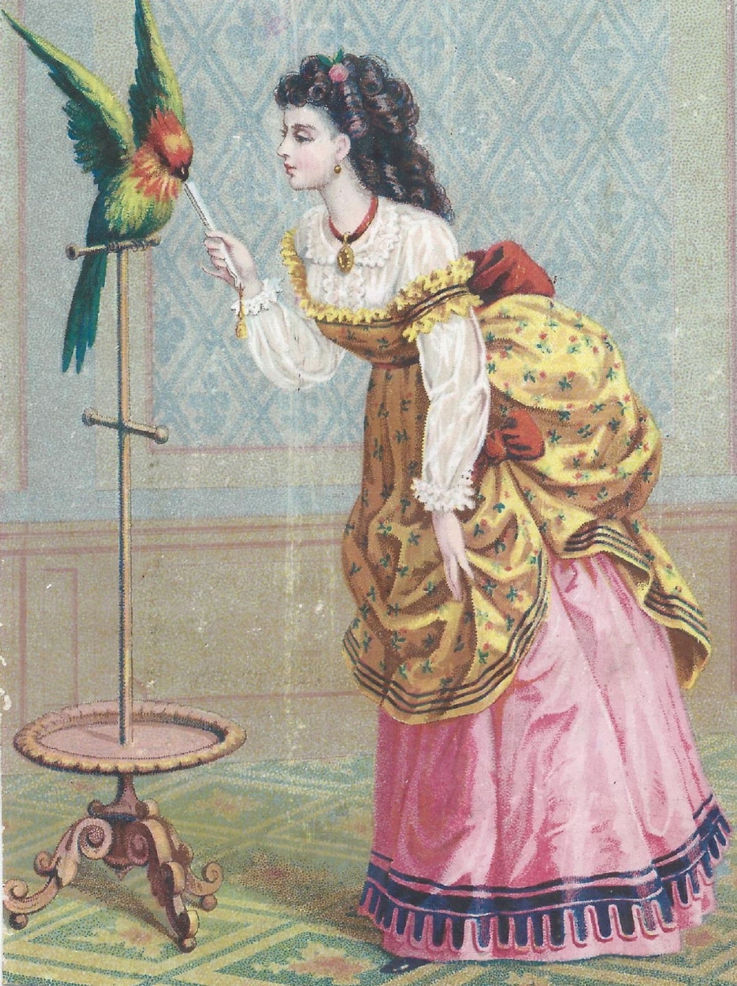 Girl With A Parrot Victorian Era