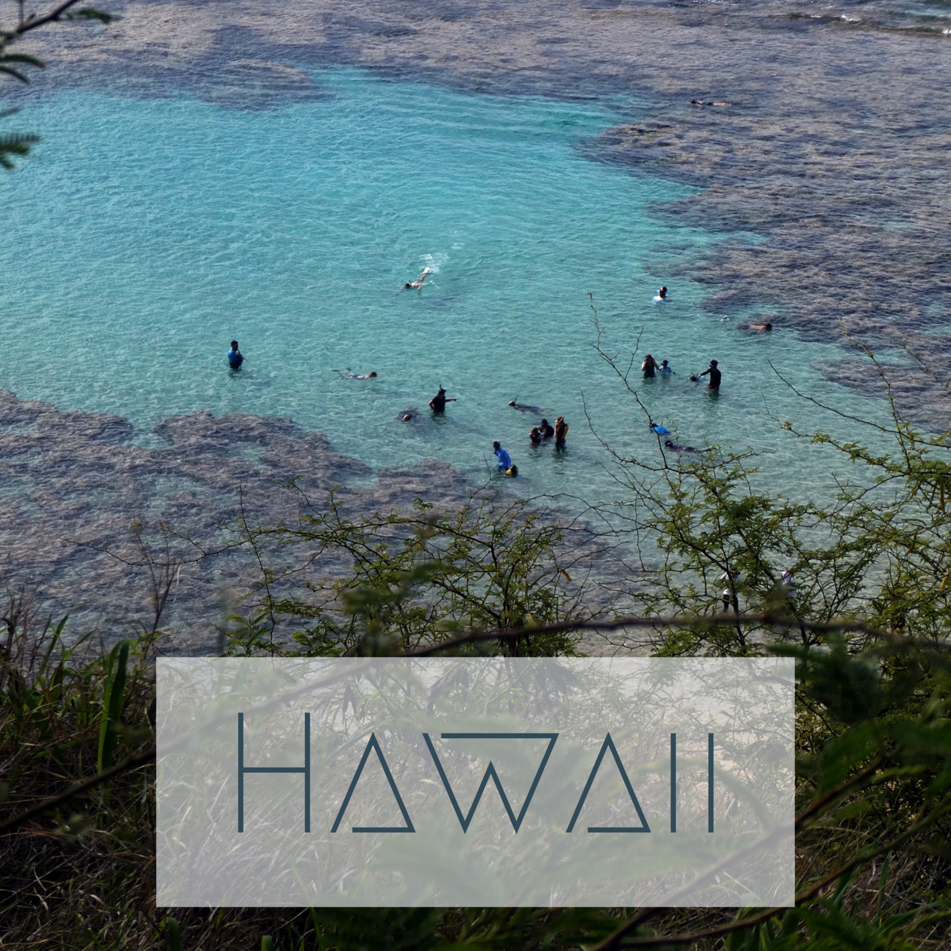 Hawaii travel poster featuring snorkelers in a coral reef