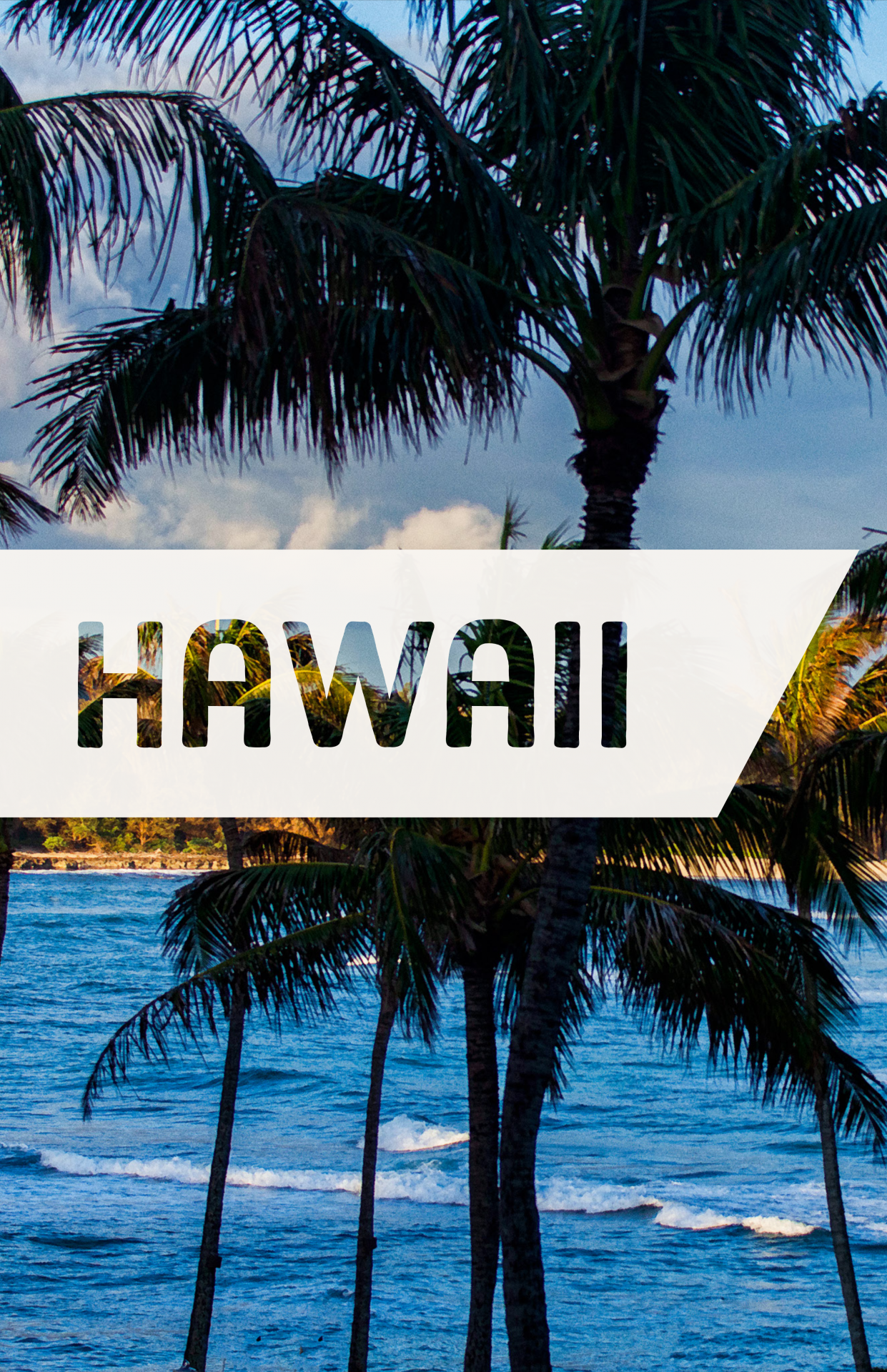 Hawaii Travel Poster