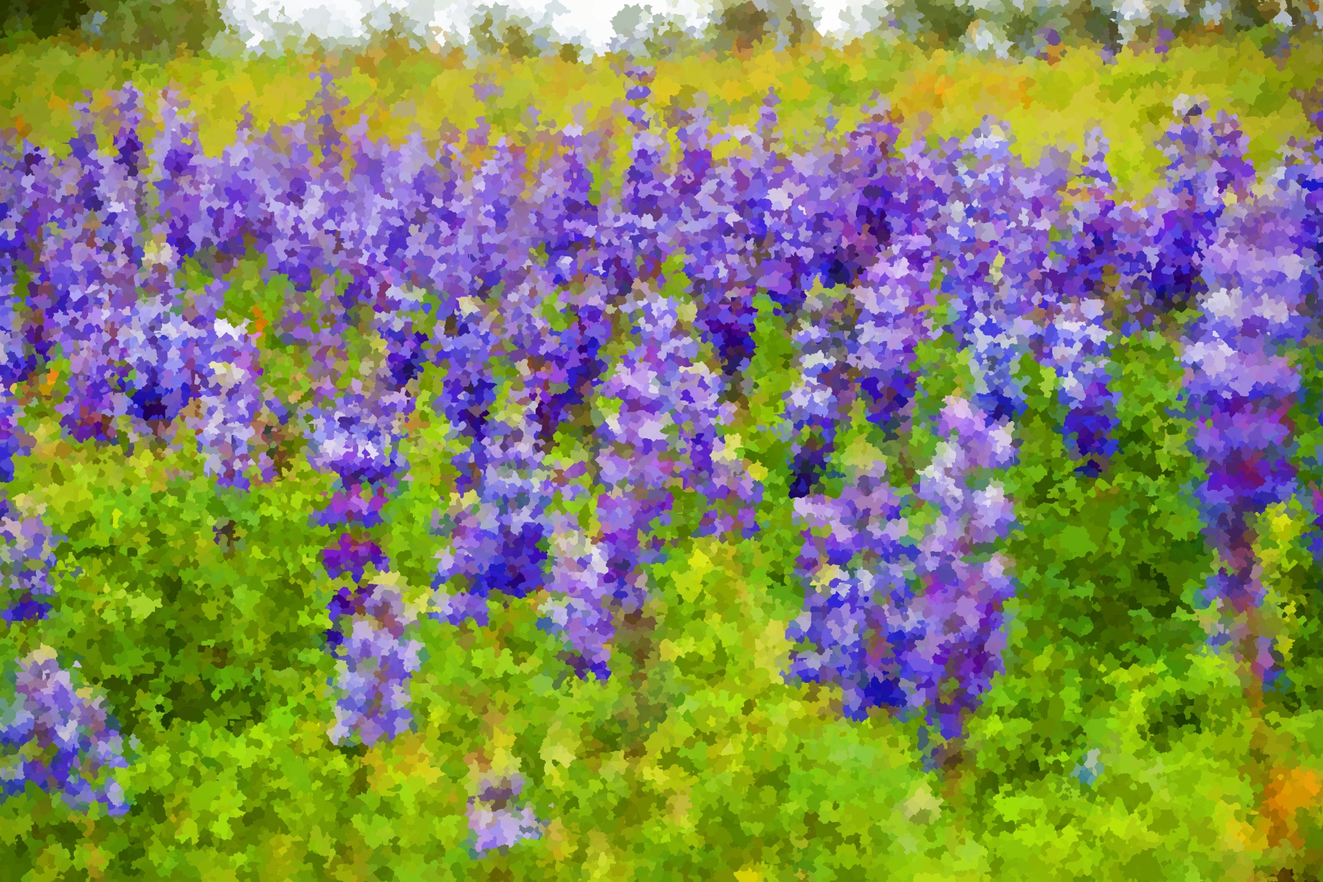 Lavender Wildflowers