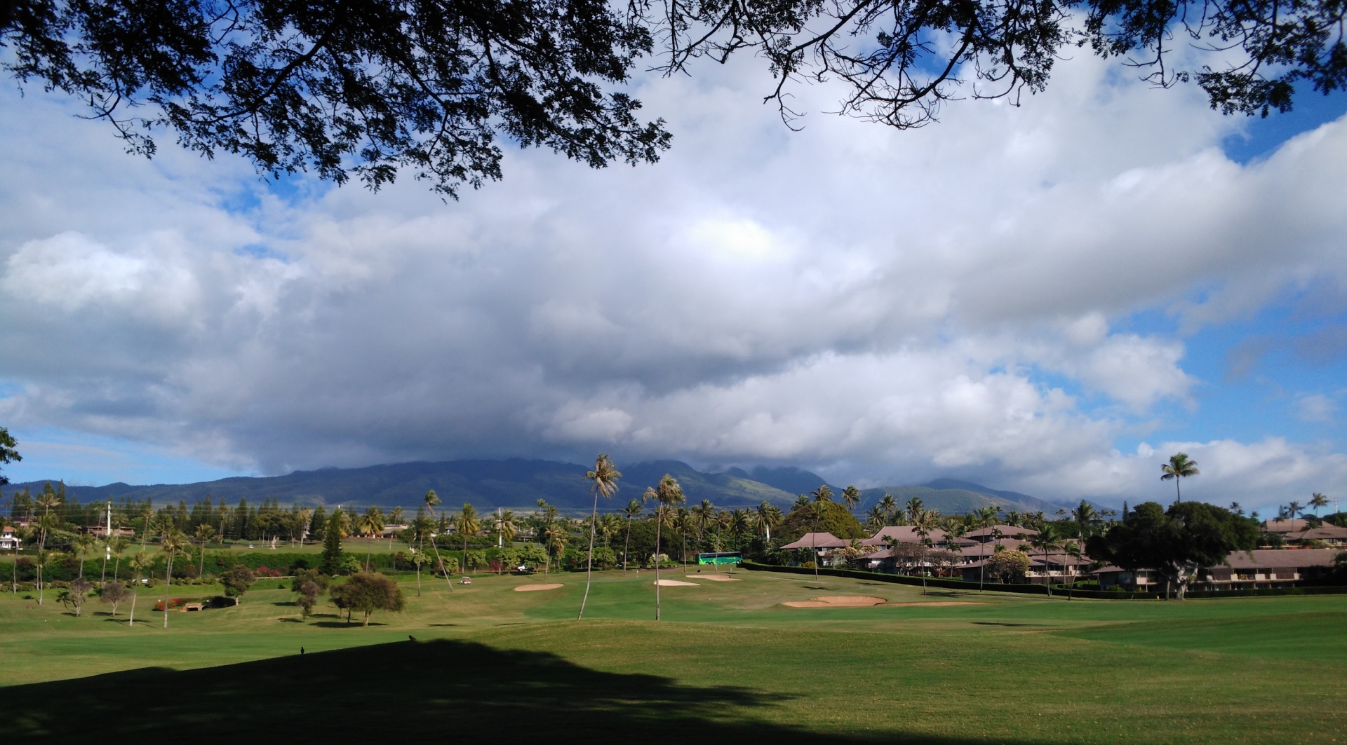Maui Golf Course