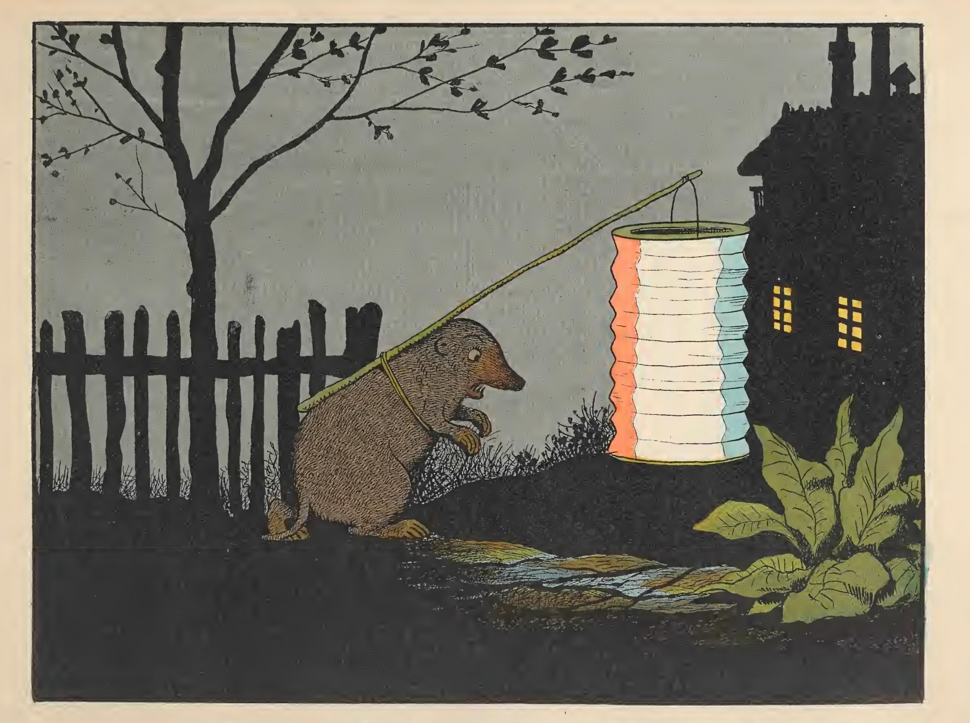Mole In The Night With A Lantern