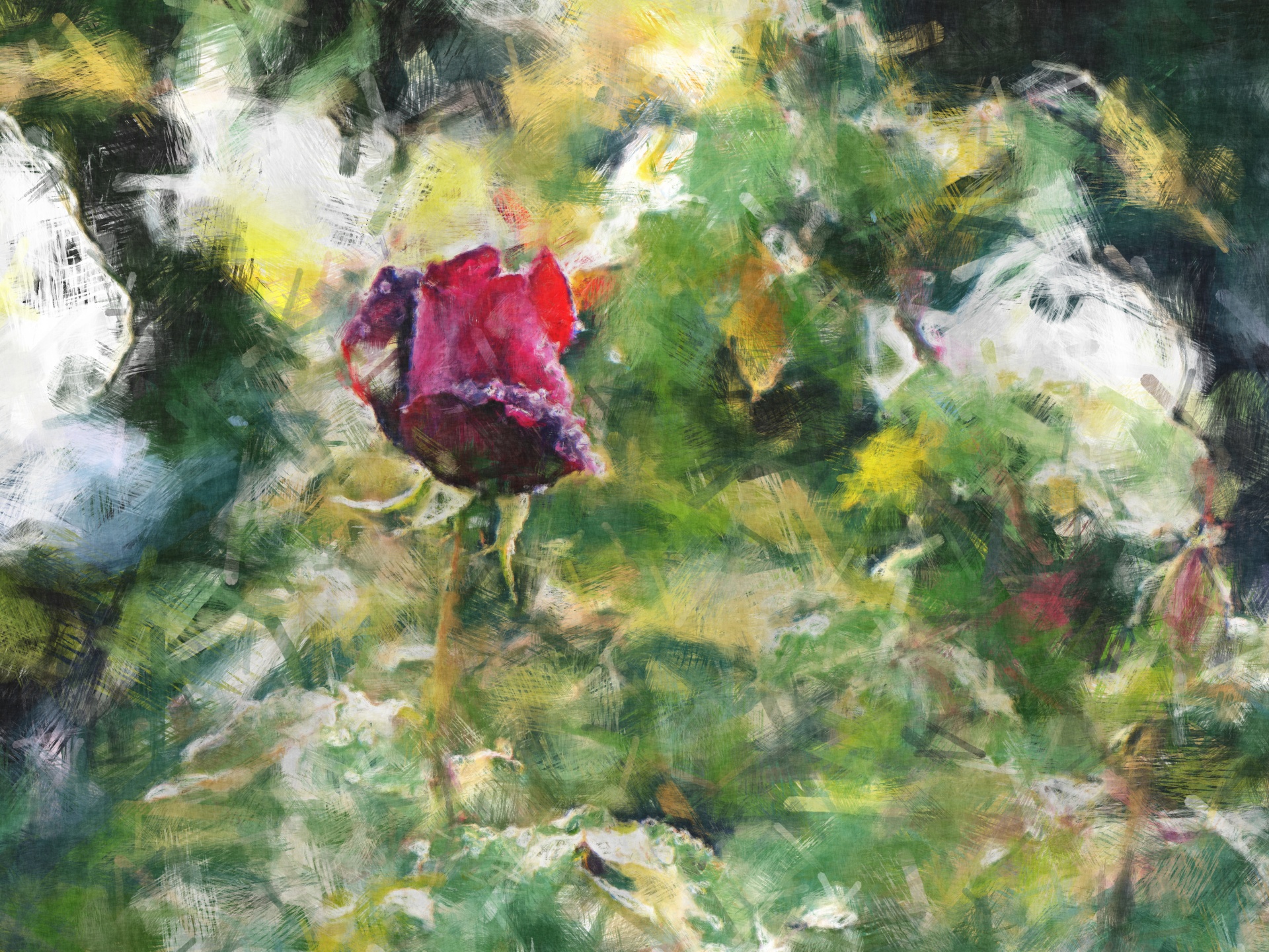 Oil Painting Rose Bud