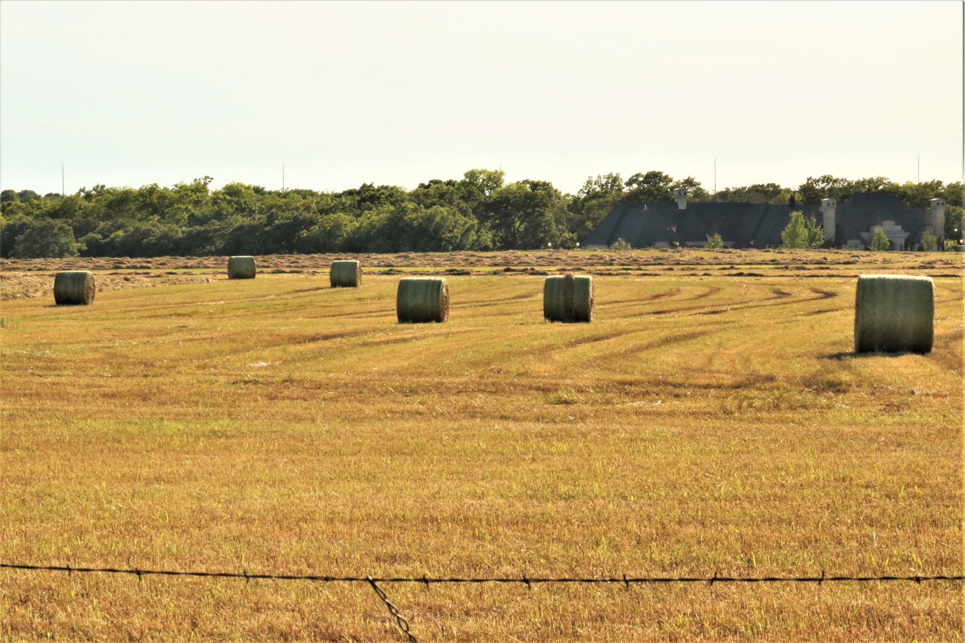 Round Hay Bales In Field