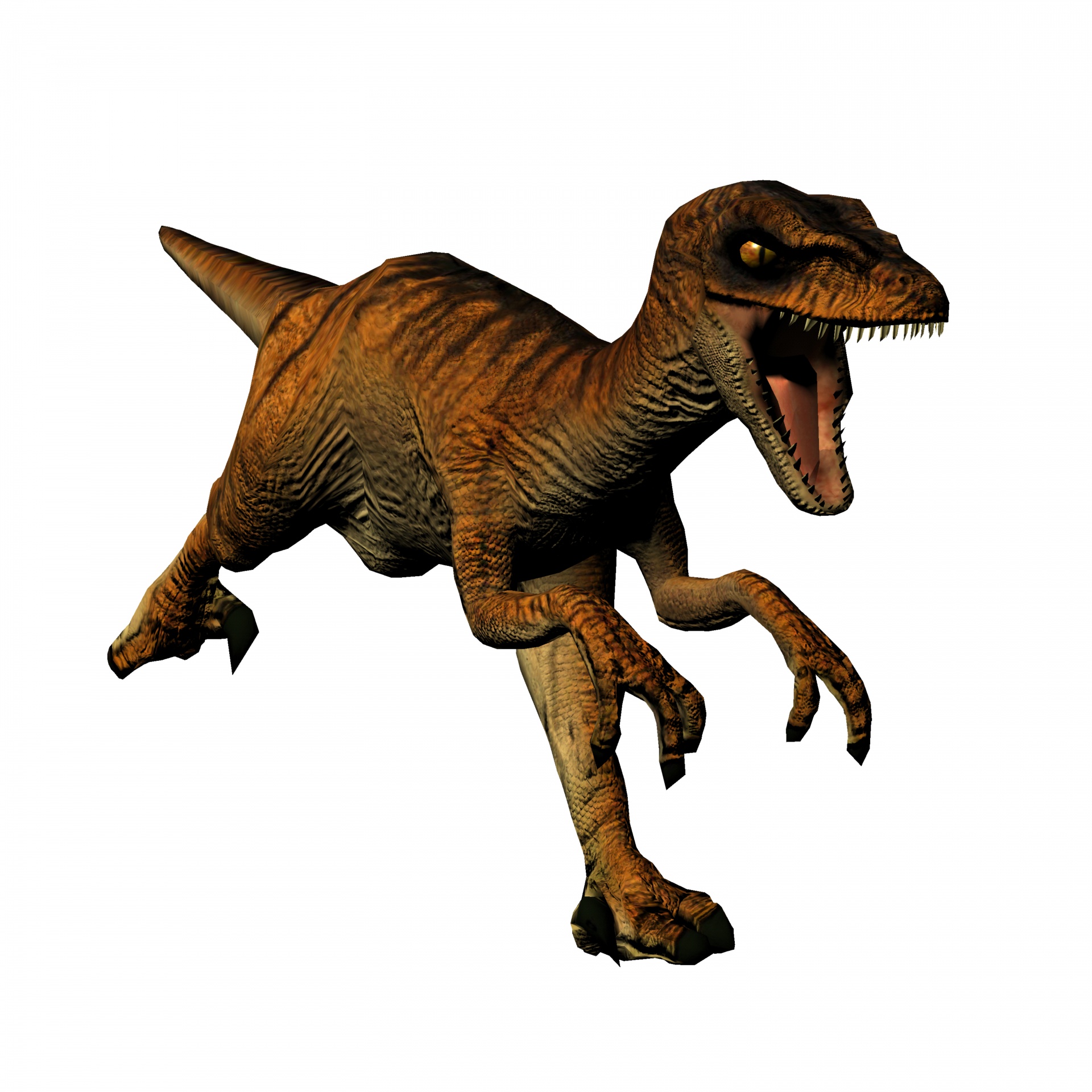Running Velociraptor