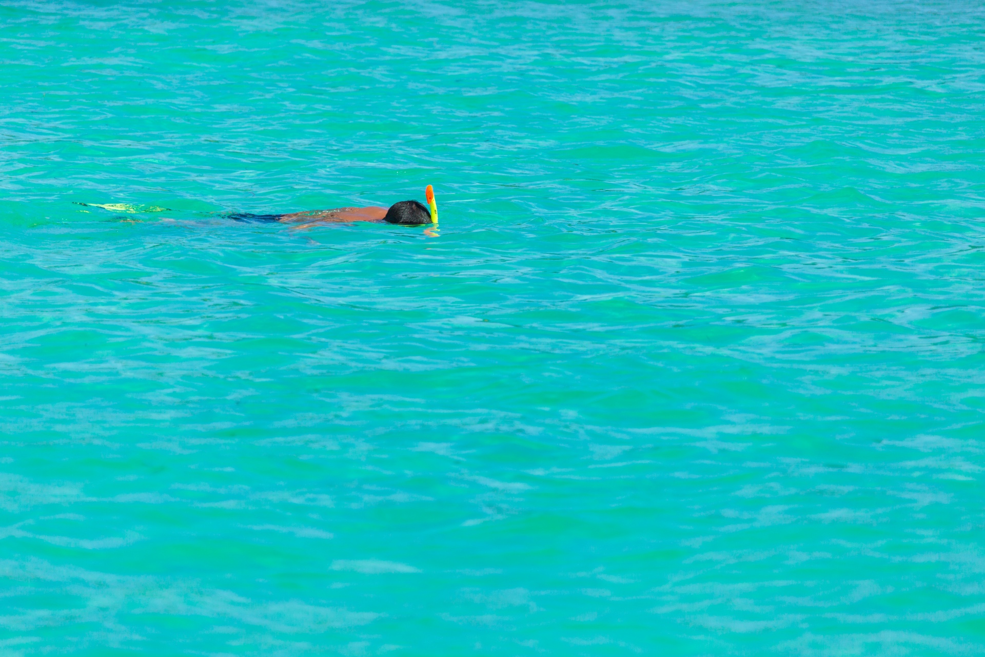 Snorkeling In A Sea