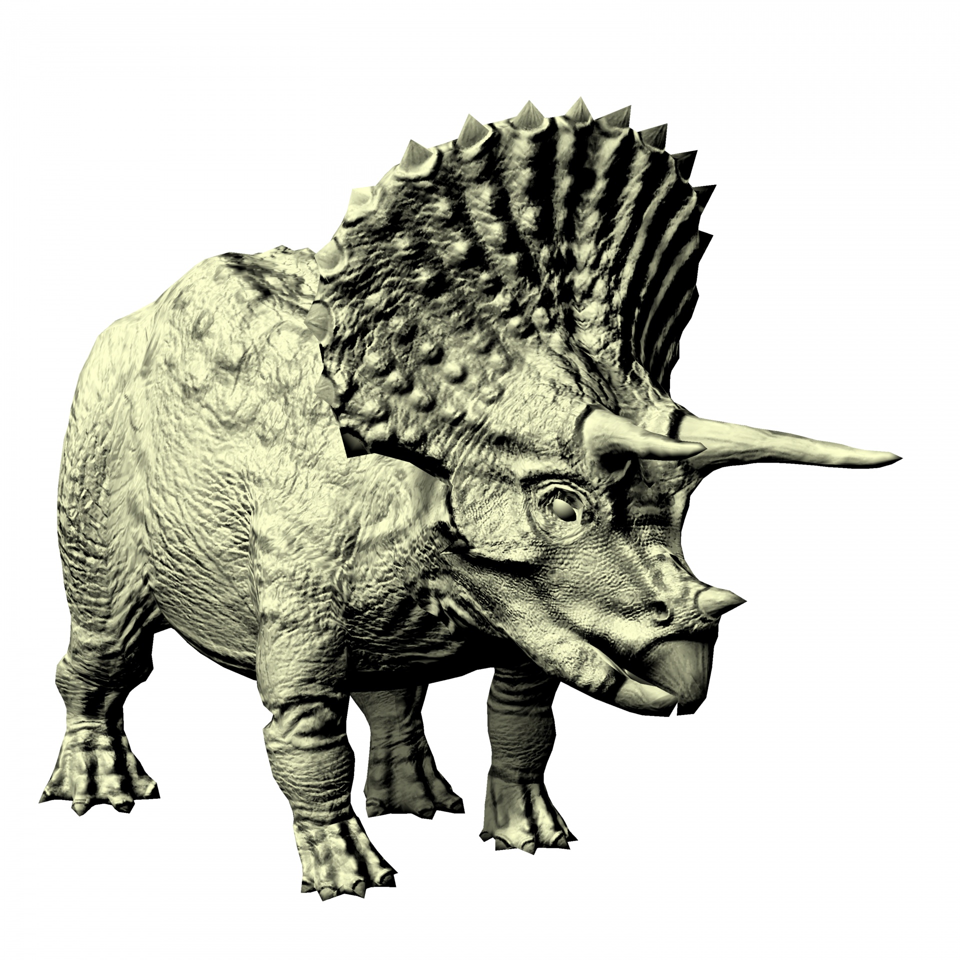 Triceratops 3d Drawing