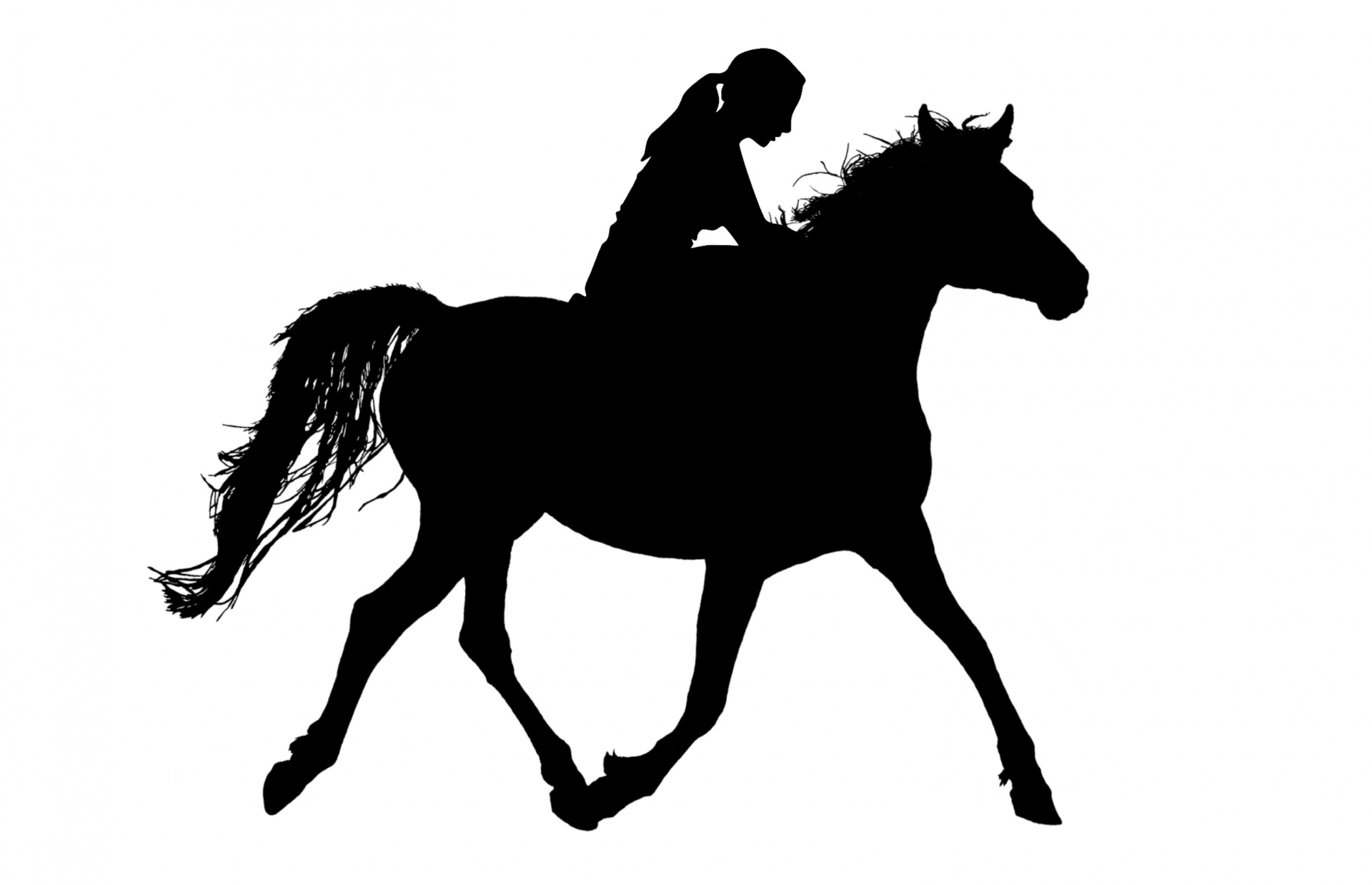 horse, riding, silhouette, ride, stallion, woman, rider, horseback, sport animal, running, competition, girl, freedom, hobby