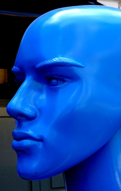 Blue Mannequin Head Free Stock Photo - Public Domain Pictures