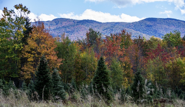 Fall Landscape Free Stock Photo - Public Domain Pictures