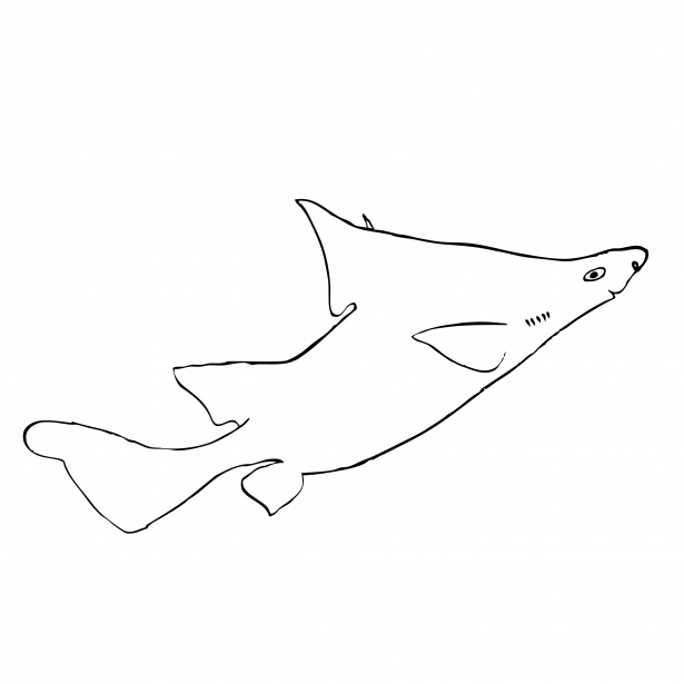 Fish, Dogfish Outline Free Stock Photo - Public Domain Pictures