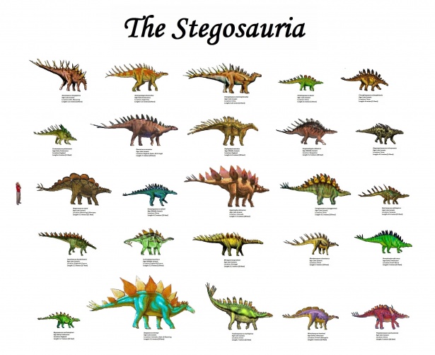 Illustrerade diagram över dinosaurier Gratis Stock Bild - Public Domain  Pictures