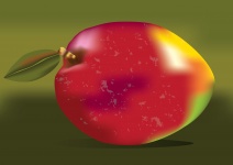 Other, Illustration, Mango