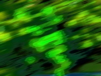 Abstract Green Colors Background