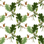 Acorn Oak Leaves Background