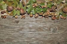 Acorns And Oak Leaves Background