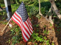 American Flag Garden