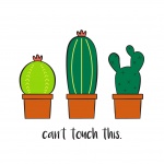 Animated Cactus Plants
