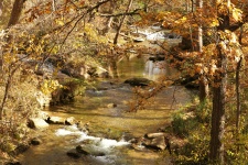 Autumn Creek And Waterfall