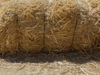 Bale Of Hay Background