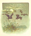 Bats Flying By Jessie Hall