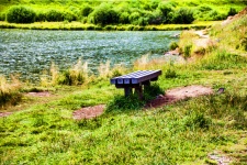 Bench By The Pond