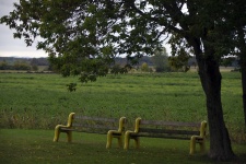 Benches In The Country