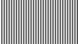 Black White Stripes